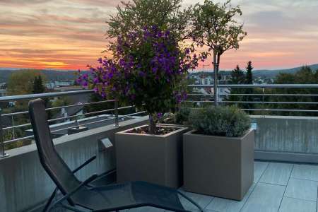 Sunset-chill.jpg